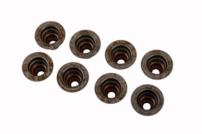 NAL-12482062, Chevrolet Performance Valve Stem Seals 12482062 in UAE, Dubai. Condition - new. Price 230 AED. Photo, seller contacts | AUTO.AE