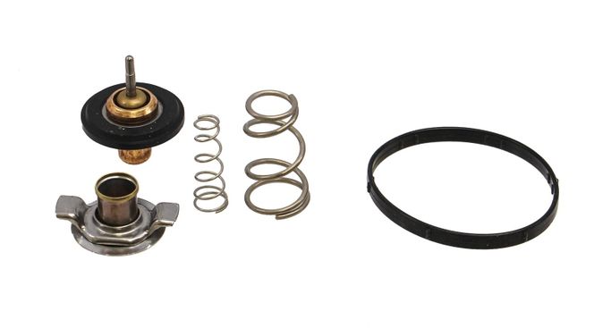 RIN-CTN0044, Rein Automotive OE Quality Thermostat Inserts for 2006-2009 RANGE ROVER SPORT, RANGE ROVER, 2005-2009 LR3 - CTN0044 in UAE, Dubai. Condition - new. Price ⁦110 AED⁩. Photo, seller contacts | AUTO.AE