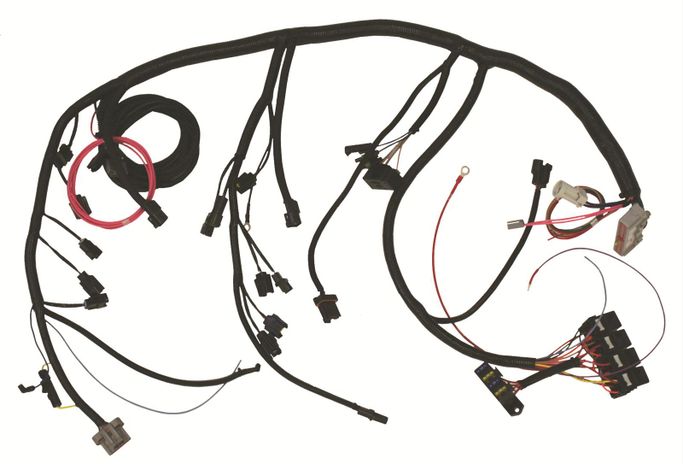 RFW-TDZ75, The Detail Zone Ford 5.0 EFI Direct-Fit Wiring Systems TDZ75 в ОАЭ, Дубай. Состояние - новое. Цена ⁦3 700 AED⁩. Фото, контакты продавца | AUTO.AE