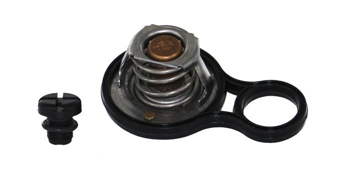 RIN-CTZ0043, Rein Automotive OE Quality Thermostat Inserts for 2002-2008 COOPER - CTZ0043 في الإمارات العربية المتحدة, دبي. Condition - new. Price 90 AED. Photo, seller contacts | AUTO.AE