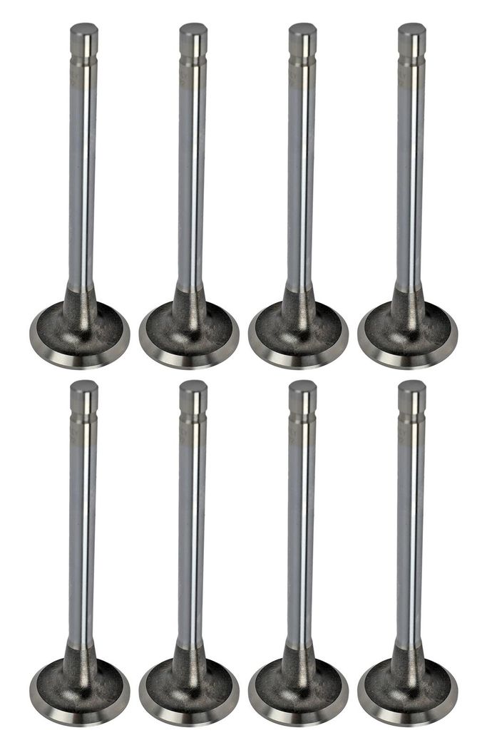 MAN-10077-8, Manley Budget Series Replacement Valves 10077-8 في الإمارات العربية المتحدة, دبي. Condition - new. Price 360 AED. Photo, seller contacts | AUTO.AE
