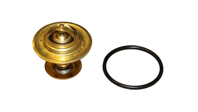 RIN-CTI0009, Rein Automotive OE Quality Thermostat Inserts CTI0009 в ОАЭ, Дубай. Состояние - новое. Цена 70 AED. Фото, контакты продавца | AUTO.AE