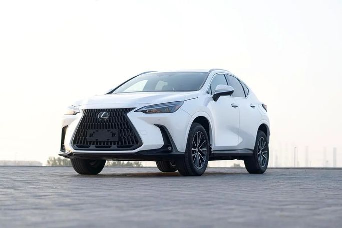 Подержанный Lexus NX 350 II, 2.4 л, 2024 в ОАЭ, Аджман от AMG Cars Белый цвет. Американская | AUTO.AE | Объявление #278595