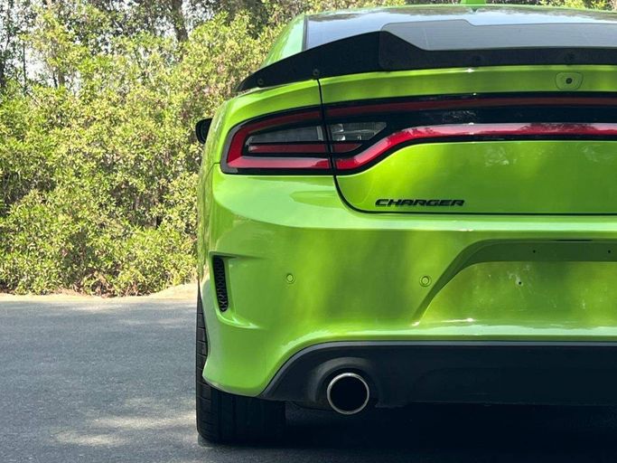 Подержанный Dodge Charger SRT VII (LD) Рестайлинг, 6.4 л, 2019 в Дубае от Perstige Motos (SHJ) Зеленый цвет. Американская | AUTO.AE