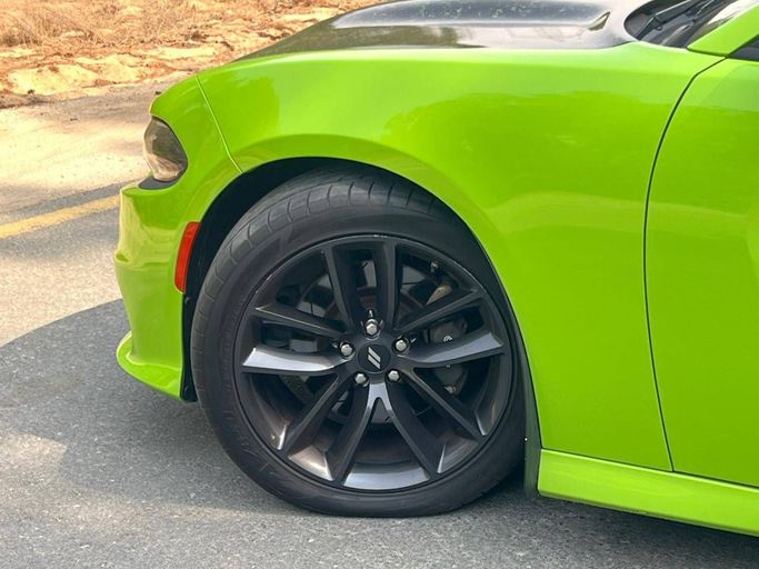 Подержанный Dodge Charger SRT VII (LD) Рестайлинг, 6.4 л, 2019 в Дубае от Perstige Motos (SHJ) Зеленый цвет. Американская | AUTO.AE