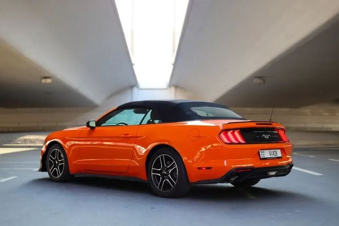 Ford Mustang VI Рестайлинг, 2022 кабриолет стандарт класса в Дубае от Alligator Car Rental оранжевый цвет | AUTO.AE