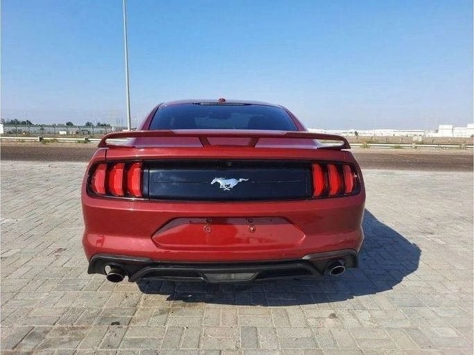 Подержанный Ford Mustang VI Рестайлинг, 2.3 л, 2020 в Дубае от Barkat Alrahmen Motors Тёмно-бордовый цвет. Other | AUTO.AE