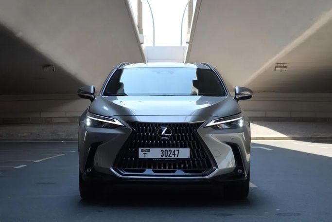 Lexus NX 250 II, 2024 внедорожник 5 дв.  класса в Дубае от Alligator Car Rental серебристый цвет | AUTO.AE