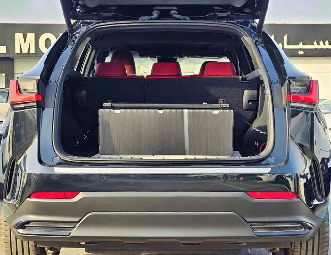 Новый Lexus NX 350 II, 2.4 л, 2025 в Дубае от SK Motors Белый цвет. Other | AUTO.AE