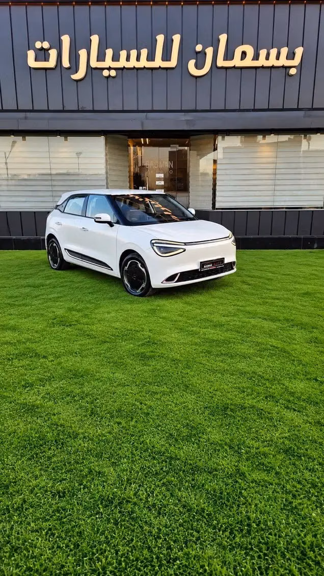 Подержанный DongFeng Nammi 01, 2024 в Иордания, Амман от BASMAN AUTO Белый цвет.  | AUTO.AE | Объявление #296083