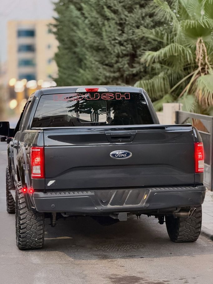 Подержанный Ford F-150 Shelby Extreme XIII Рестайлинг, 5.0 л, 2017 в Иордания, Амман от AL FURSAN MOTORS Черный цвет.  | AUTO.AE | Объявление #296415 — фото 14 из 14