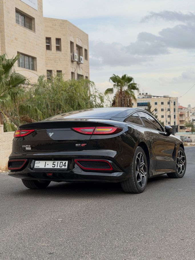 Подержанный Hozon Neta GT, 2023 в Иордания, Амман от AL FURSAN MOTORS Черный цвет.  | AUTO.AE | Объявление #296396 — фото 10 из 11
