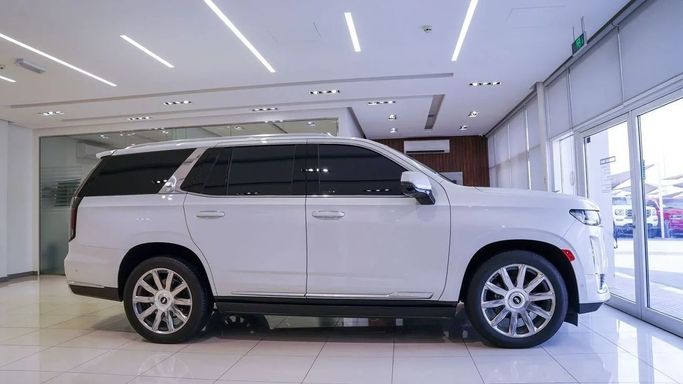 Подержанный Cadillac Escalade V, 6.2 л, 2024 в Шардже от Alsalama Motors Белый цвет. Американская | AUTO.AE