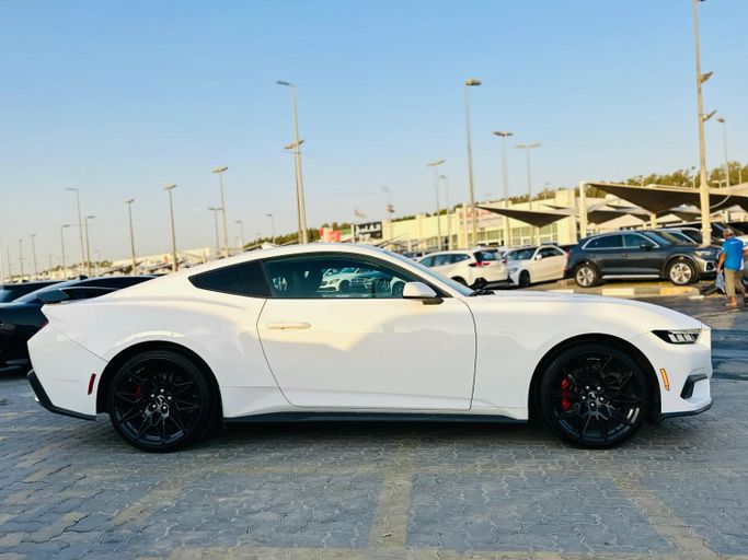 Подержанный Ford Mustang VII, 2.3 л, 2024 в Шардже от Kandy Cars Белый цвет. Other | AUTO.AE