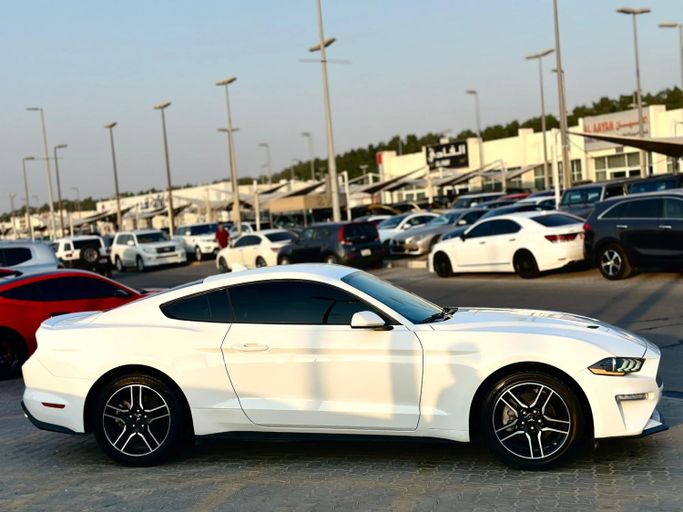 Подержанный Ford Mustang VI Рестайлинг, 2.3 л, 2022 в Шардже от Kandy Cars Белый цвет. Other | AUTO.AE