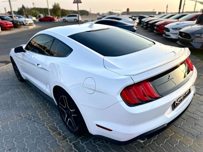Подержанный Ford Mustang VI Рестайлинг, 2.3 л, 2022 в Шардже от Kandy Cars Белый цвет. Other | AUTO.AE