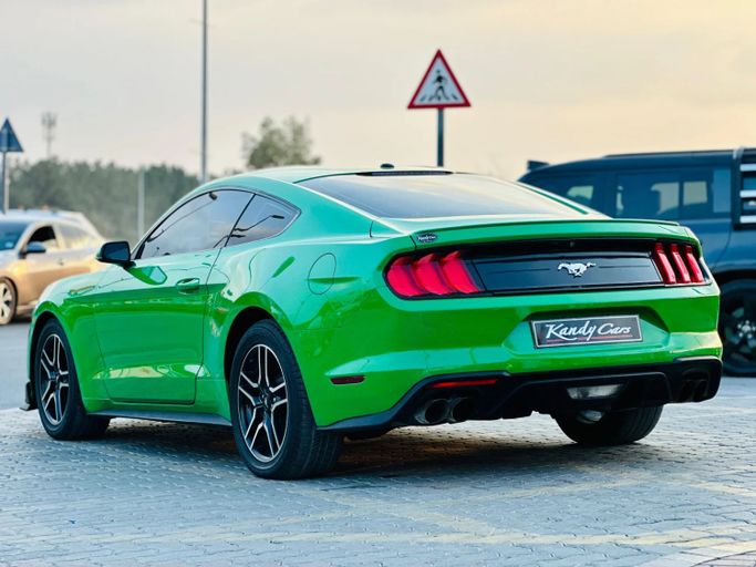 Подержанный Ford Mustang VI Рестайлинг, 2.3 л, 2019 в Шардже от Kandy Cars Зеленый цвет. Американская | AUTO.AE