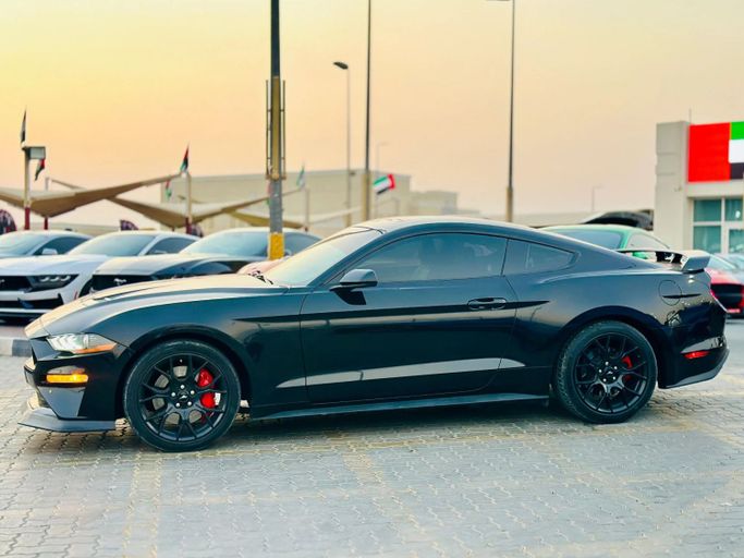 Подержанный Ford Mustang VI Рестайлинг, 2.3 л, 2019 в Шардже от Kandy Cars Черный цвет. Американская | AUTO.AE