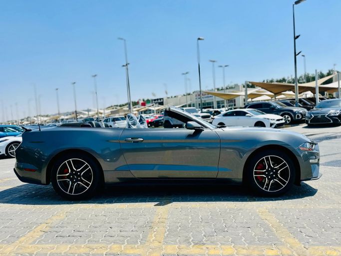 Подержанный Ford Mustang VI Рестайлинг, 2.3 л, 2022 в Шардже от Kandy Cars Серебристый цвет. Американская | AUTO.AE