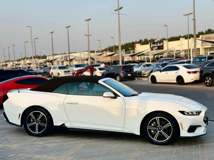 Подержанный Ford Mustang VII, 2.3 л, 2024 в Шардже от Kandy Cars Белый цвет. Американская | AUTO.AE