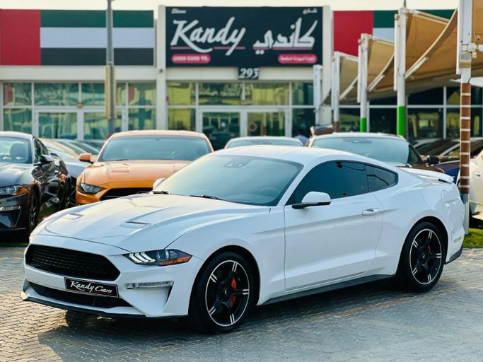 Подержанный Ford Mustang GT Performance VI Рестайлинг, 5.0 л, 2019 в Шардже от Kandy Cars Белый цвет. Американская | AUTO.AE