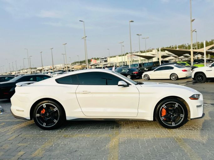 Подержанный Ford Mustang GT Performance VI Рестайлинг, 5.0 л, 2019 в Шардже от Kandy Cars Белый цвет. Американская | AUTO.AE