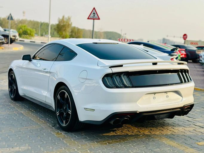 Подержанный Ford Mustang GT Performance VI Рестайлинг, 5.0 л, 2019 в Шардже от Kandy Cars Белый цвет. Американская | AUTO.AE