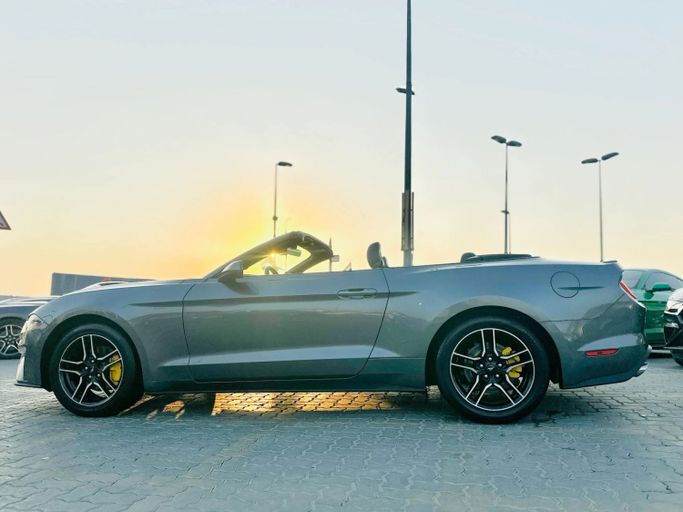Подержанный Ford Mustang VI Рестайлинг, 2.3 л, 2021 в Шардже от Kandy Cars Серый цвет. Американская | AUTO.AE