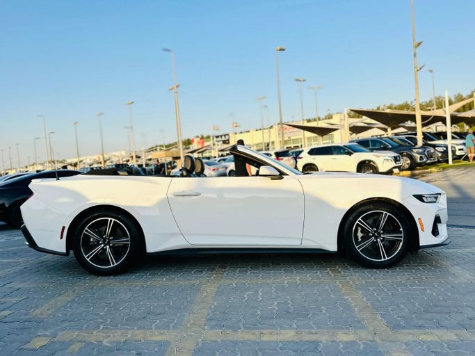 Подержанный Ford Mustang VII, 2.3 л, 2024 в Шардже от Kandy Cars Белый цвет. Американская | AUTO.AE