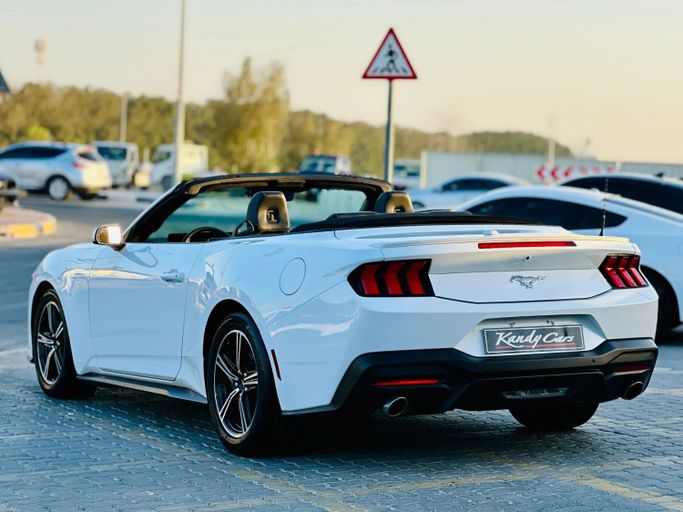 Подержанный Ford Mustang VII, 2.3 л, 2024 в Шардже от Kandy Cars Белый цвет. Американская | AUTO.AE