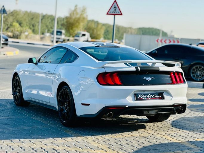 Подержанный Ford Mustang VI Рестайлинг, 2.3 л, 2020 в Шардже от Kandy Cars Белый цвет. Американская | AUTO.AE