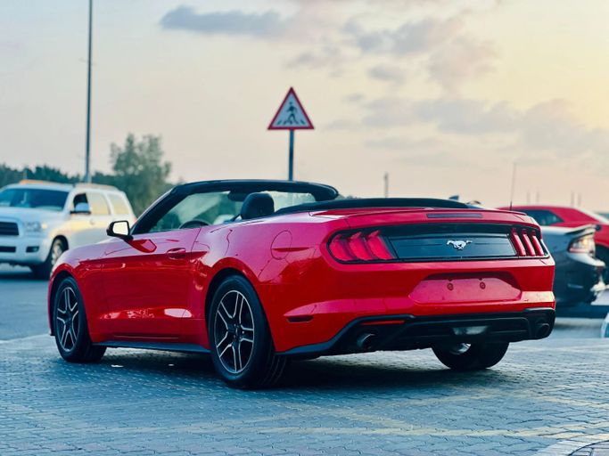 Подержанный Ford Mustang VI Рестайлинг, 2.3 л, 2023 в Шардже от Kandy Cars Красный цвет. Американская | AUTO.AE