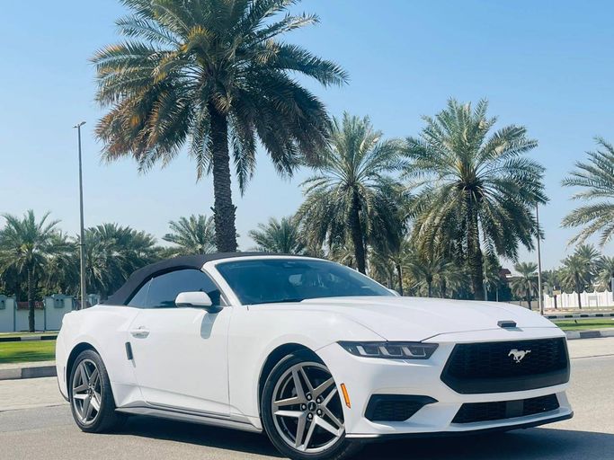 Подержанный ⁦Ford Mustang VII, 2.3 л, 2024⁩ в ОАЭ, Шарджа от QASR AL JAZEERA Белый цвет. Американская | AUTO.AE | Объявление #290709
