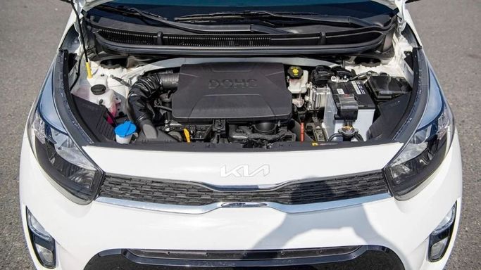 Новый Kia Picanto III Рестайлинг, 1.2 л, 2023 в Шардже от Nour Alnukhba Motors Белый цвет. Other | AUTO.AE