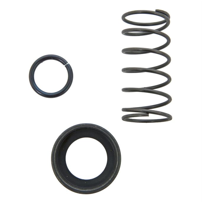 TIL-54-446, Tilton Replacement Starter Spring Kits 54-446 в ОАЭ, Дубай. Состояние - новое. Цена 40 AED. Фото, контакты продавца | AUTO.AE