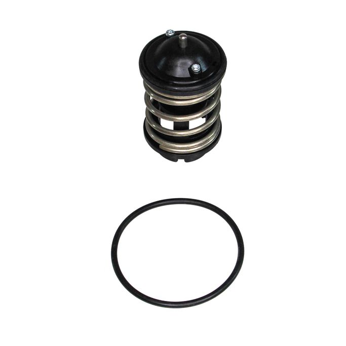 RIN-CTN0025, Rein Automotive OE Quality Thermostat Inserts CTN0025 in UAE, Dubai. Condition - new. Price 270 AED. Photo, seller contacts | AUTO.AE