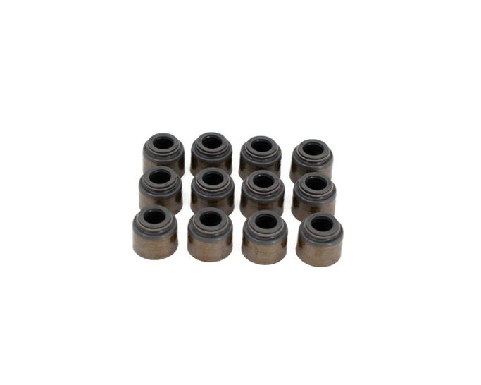 BTC-VS-V6-KIT, Brian Tooley Racing Engine Valve Stem Oil Seals VS V6 KIT في الإمارات العربية المتحدة, دبي. Condition - new. Price ⁦110 AED⁩. Photo, seller contacts | AUTO.AE