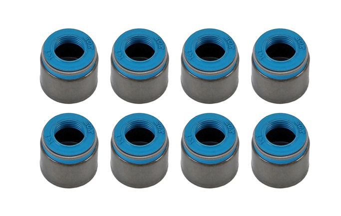 TFS-54500454-8, Trick Flow® Valve Seals TFS-54500454-8 في الإمارات العربية المتحدة, دبي. Condition - new. Price ⁦120 AED⁩. Photo, seller contacts | AUTO.AE