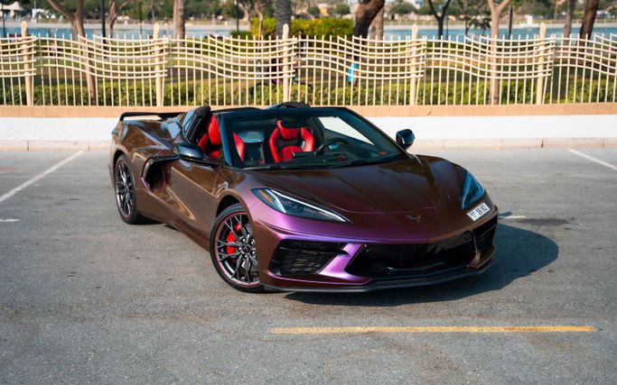 Chevrolet Corvette C8, 2023 кабриолет спорт класса в Дубае от Macan Luxury Motors пурпурный цвет | AUTO.AE