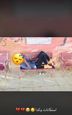 شعار معرض Adnan