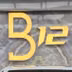 B12 Motors