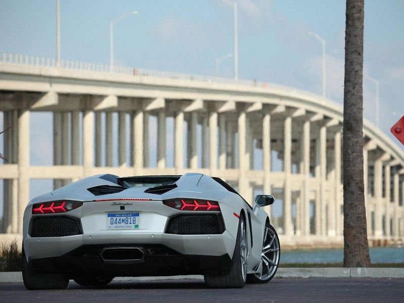 Lamborghini Aventador I، رودستر — منظر خلفي أيمن